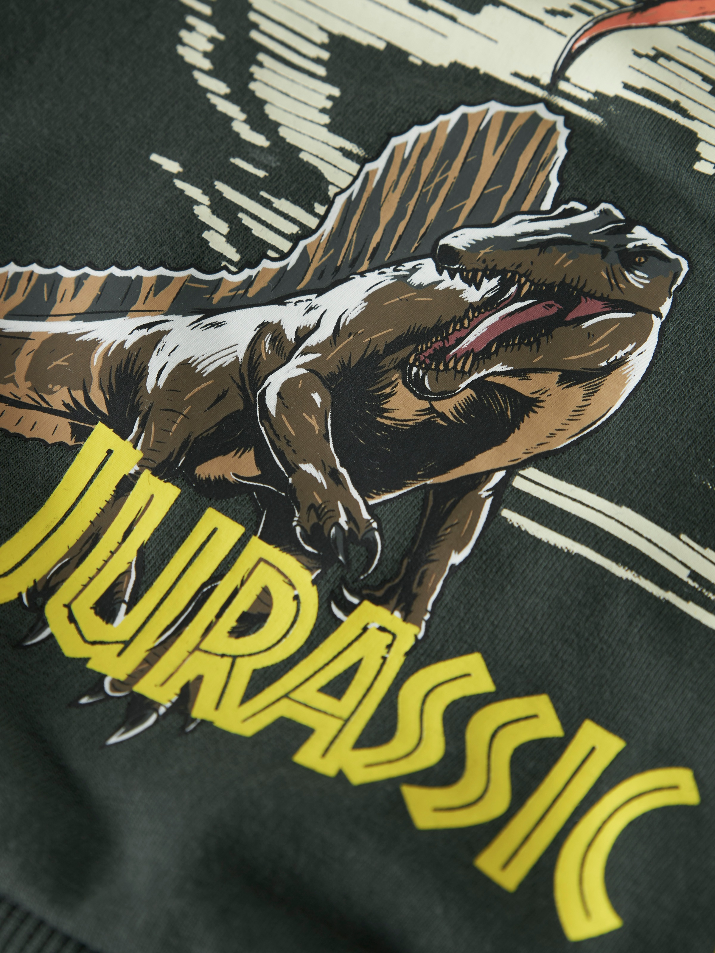 Name It Sweatshirt »NMMJAL JURASSIC NREG SWEAT BRU NOOS SKY«, Baumwollmischung, regular fit, mit Jurassic World Print
