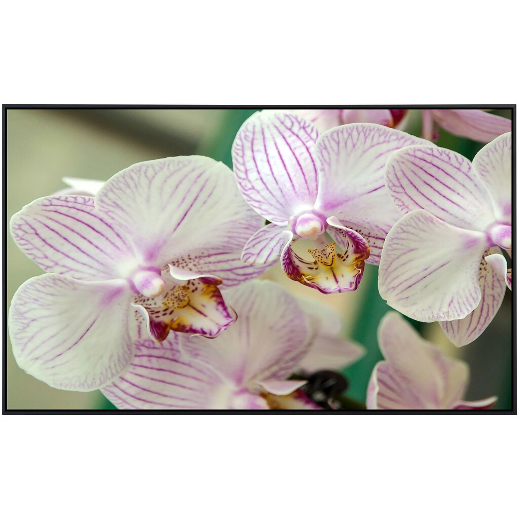 Papermoon Infrarotheizung »Weisse Orchidee«