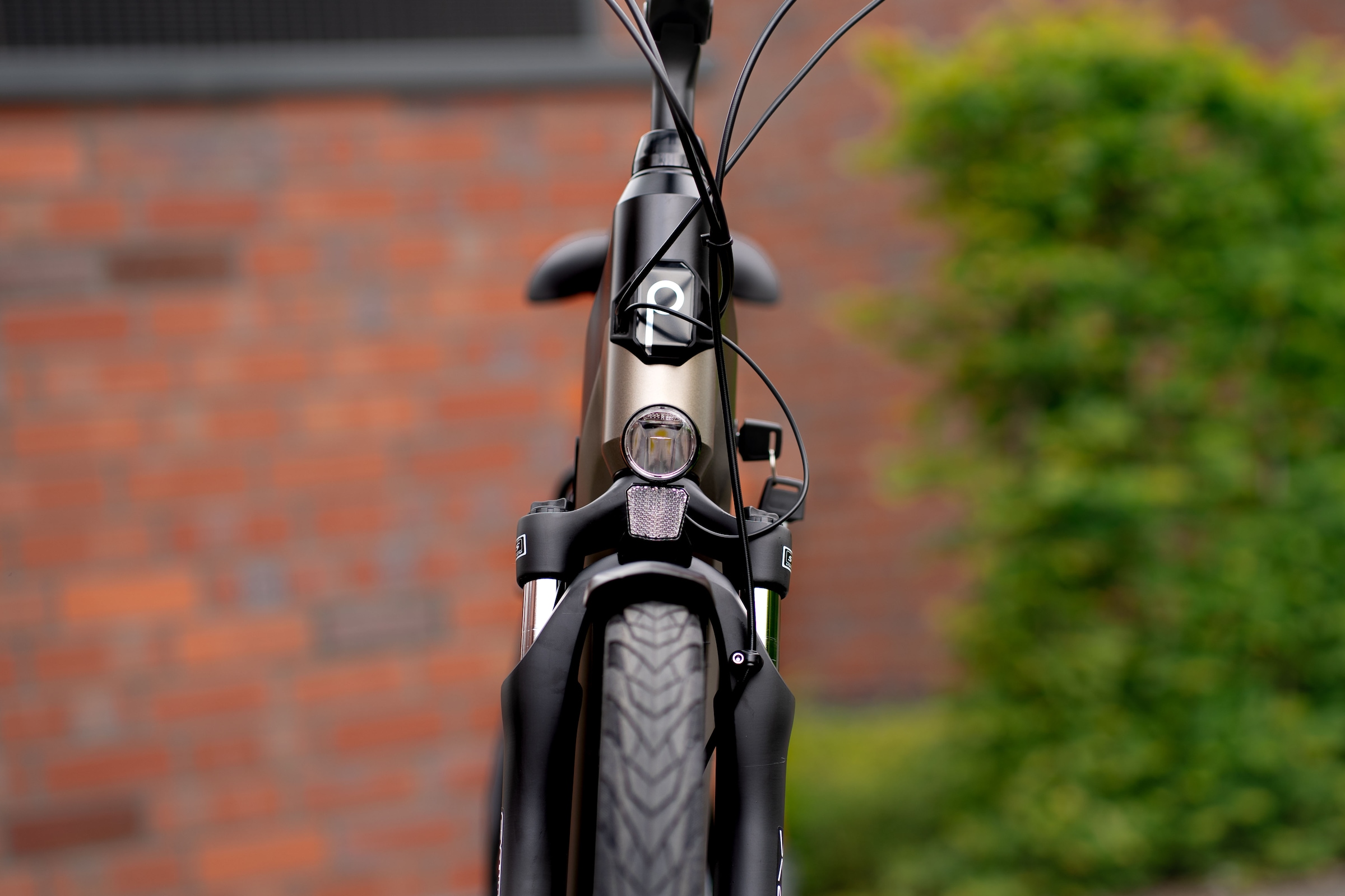 Prophete »Geniesser 3.8« 7 Gang Shimano Nexus Schaltwerk Nabenschaltung Mittelmotor 250 W