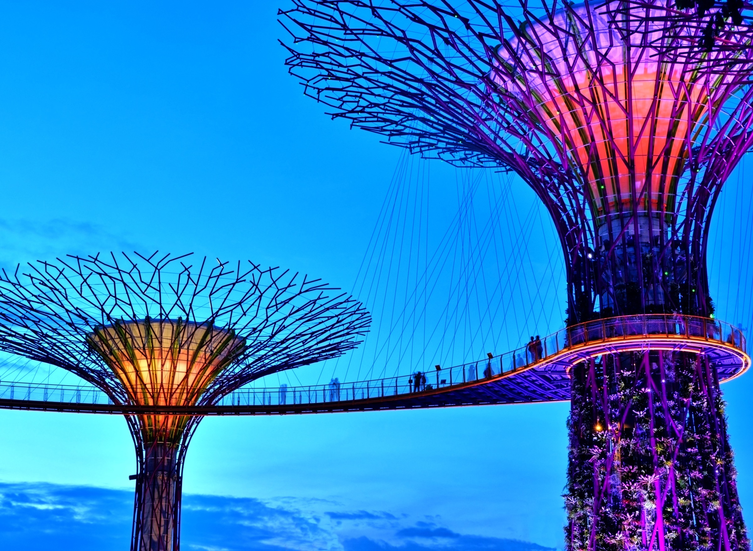 Papermoon Fototapete »Singapore Bay Supertrees« glatt günstig online kaufen