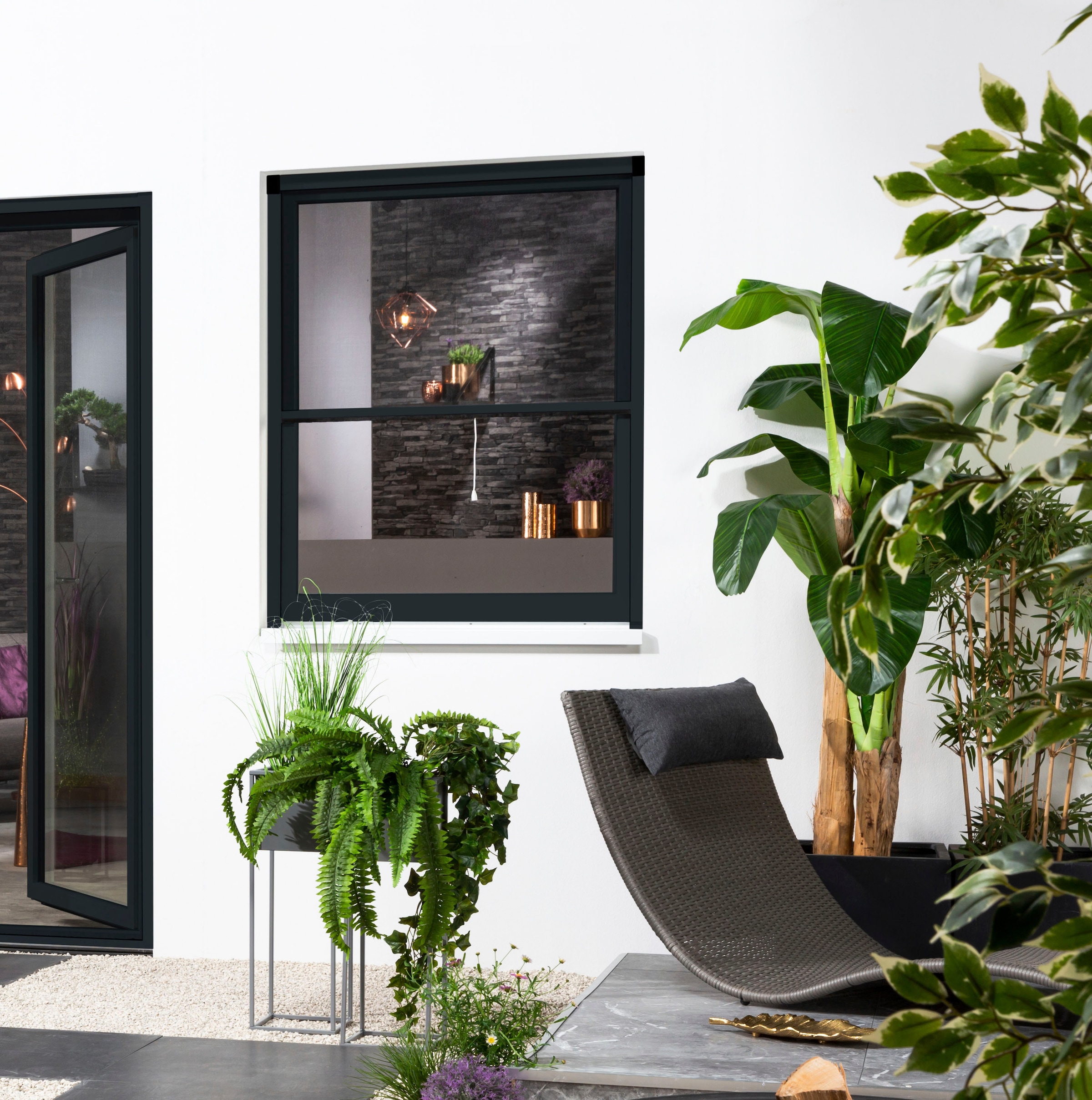 hecht international Insektenschutzrollo »SMART«, transparent, Insektenschutz, für Fenster, kürzbar