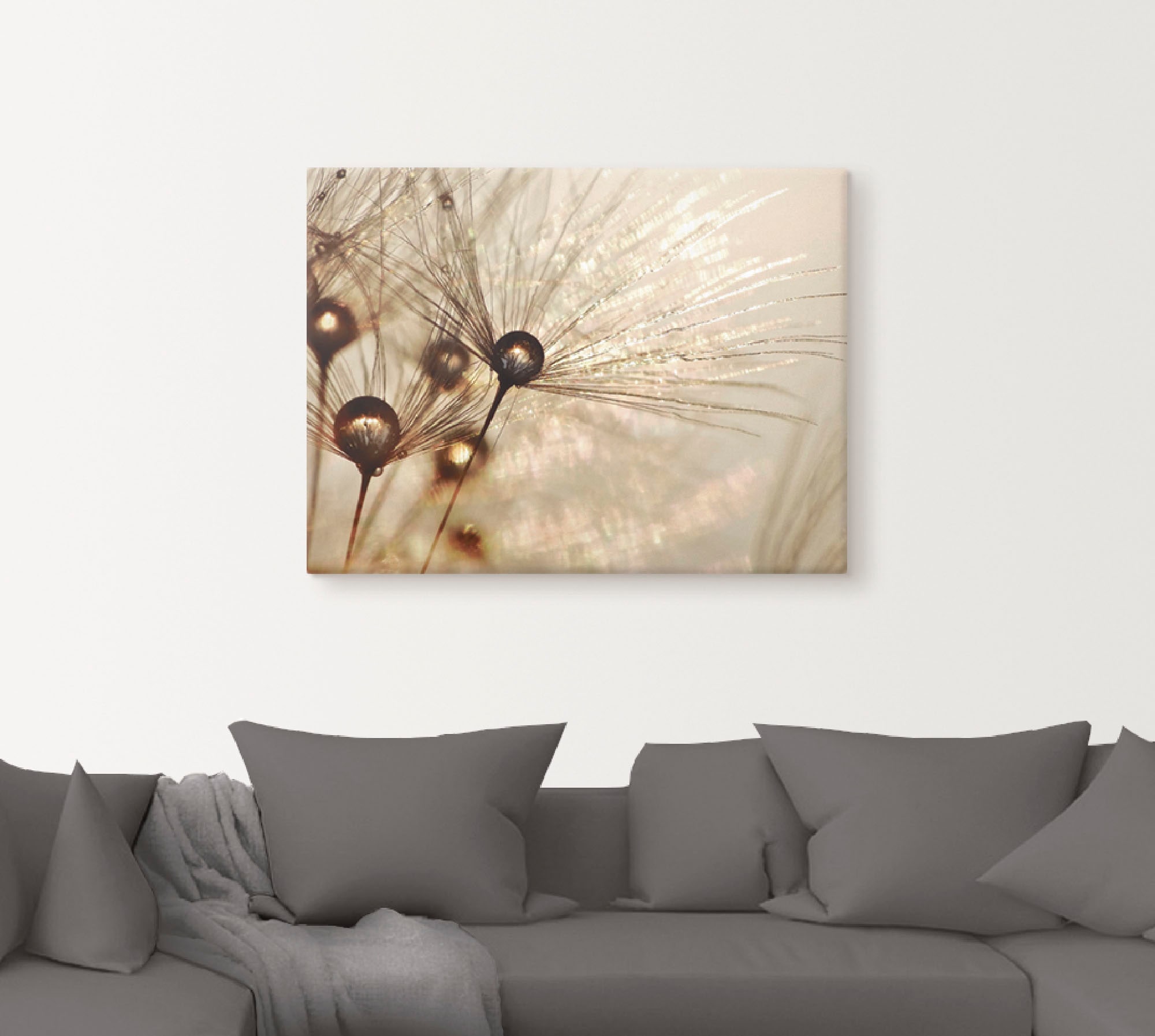 Artland Wandbild "Pusteblume Goldener Tropfen", Blumen, (1 St.), als Alubil günstig online kaufen