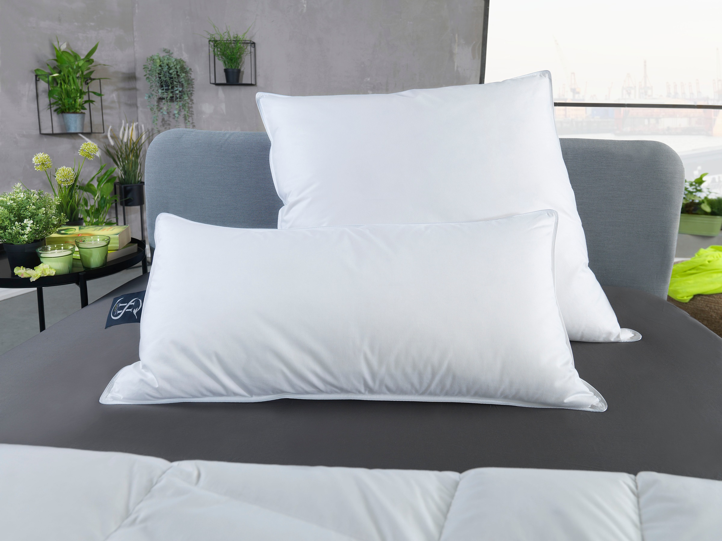 Haeussling Daunenkissen »Häussling Select-Made in Green« Füllung: Außenkamm günstig online kaufen