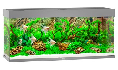 Aquarium »Rio 240 LED«, BxTxH: 121x41x55 cm, 240 l, inkl. MultiLux LED Einsatzleuchte