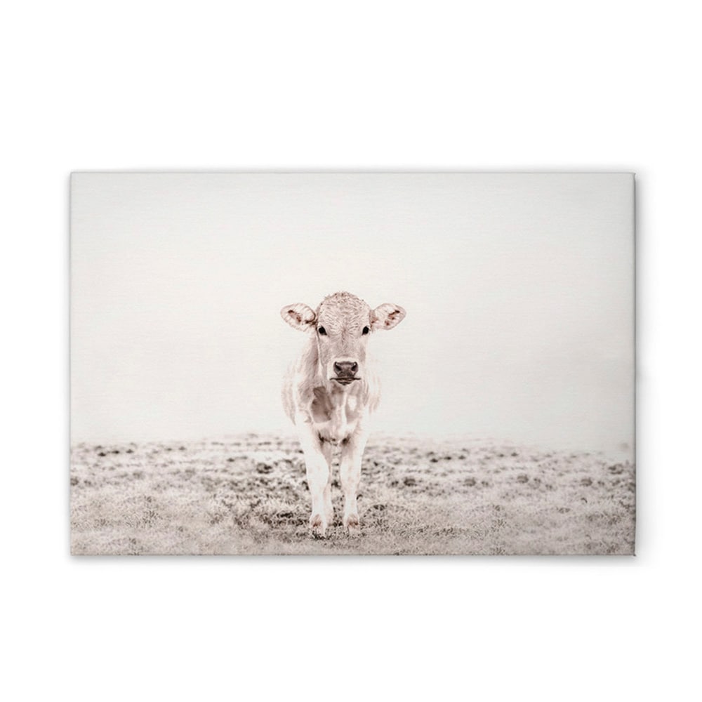 A.S. Création Leinwandbild »Highland Cattle 3 - Wandbild Weiß Creme Keilrah günstig online kaufen