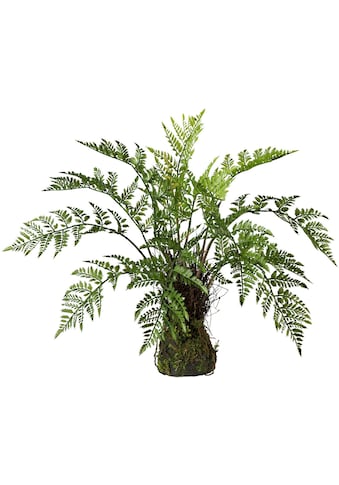 Creativ green Kunstpflanze, (1 St.) kaufen