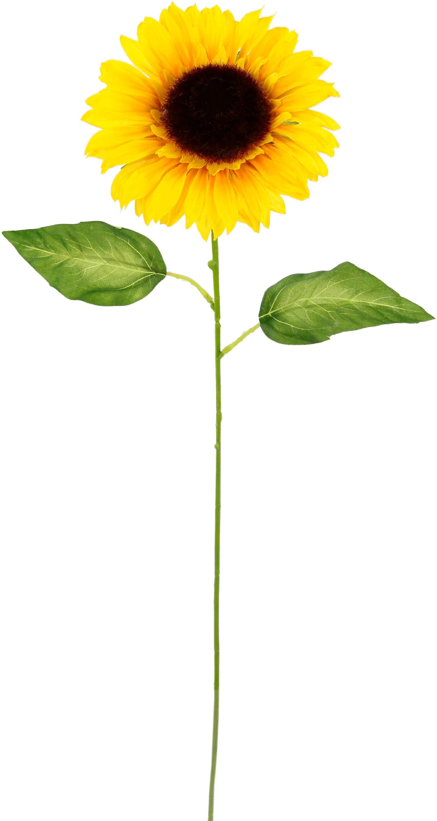 I.GE.A. Kunstblume »Sonnenblume«, Einzelblume, Stielblume, 5er Set