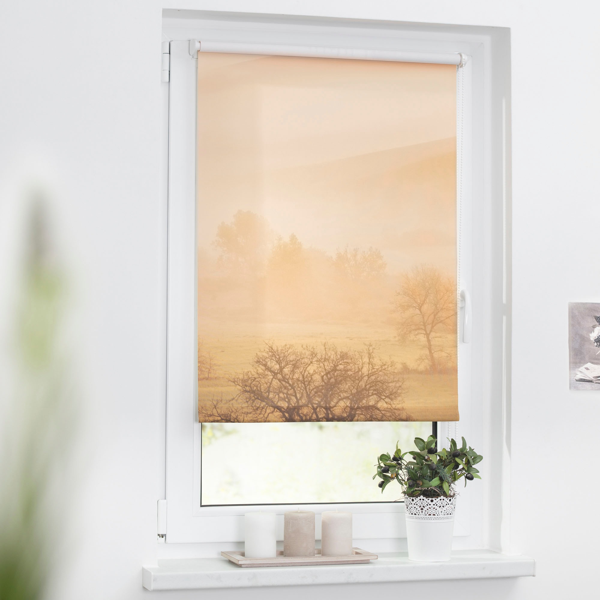 LICHTBLICK ORIGINAL Seitenzugrollo »Rollo Klemmfix, ohne Bohren, Verdunkelu günstig online kaufen