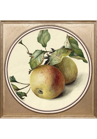 Acrylglasbild »Apfel«