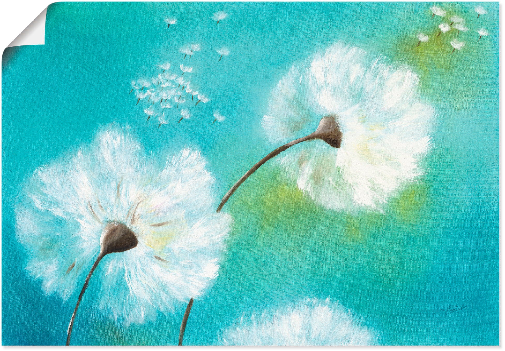 Artland Wandbild »Pusteblumen«, Blumen, (1 St.), als Alubild, Outdoorbild, günstig online kaufen