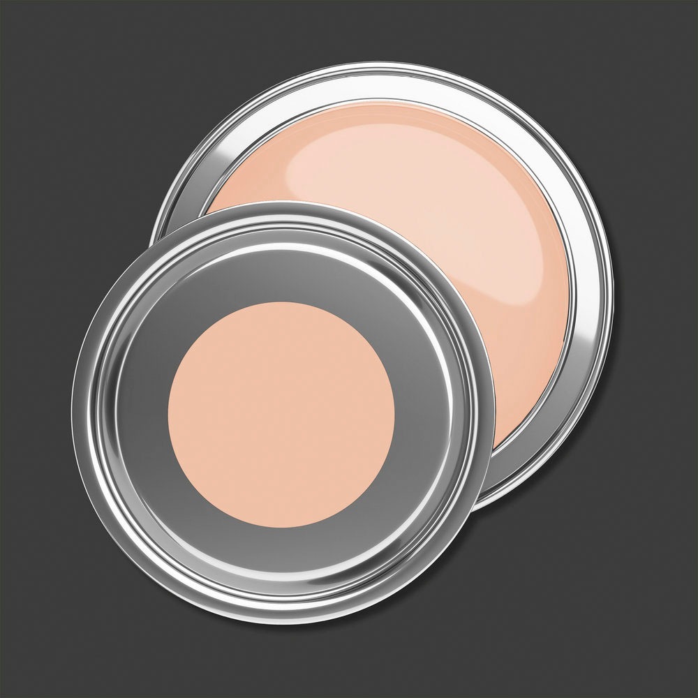 A.S. Création Wandfarbe »Premium Innenwandfarbe PURO Tuchmatt diverse apricot« ideal für Wohnzimmer, Schlafzimmer, Flur und Küche, Farbwelt Apricot