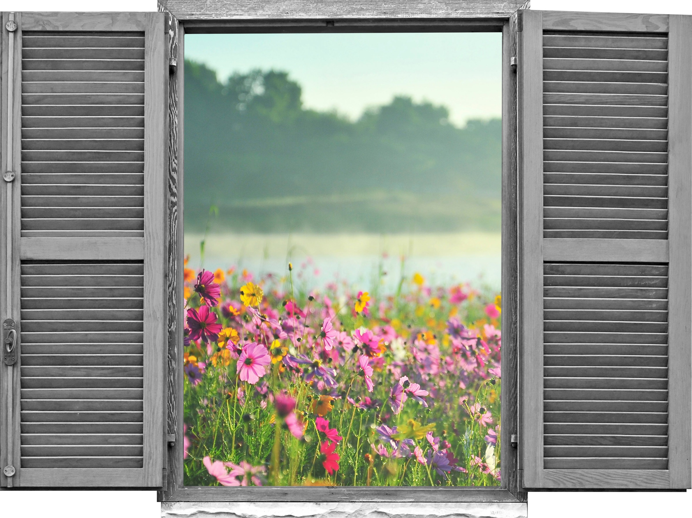 queence Wandtattoo »Feld von rosa Blumen« Wandsticker, Wandbild, selbstkleb günstig online kaufen