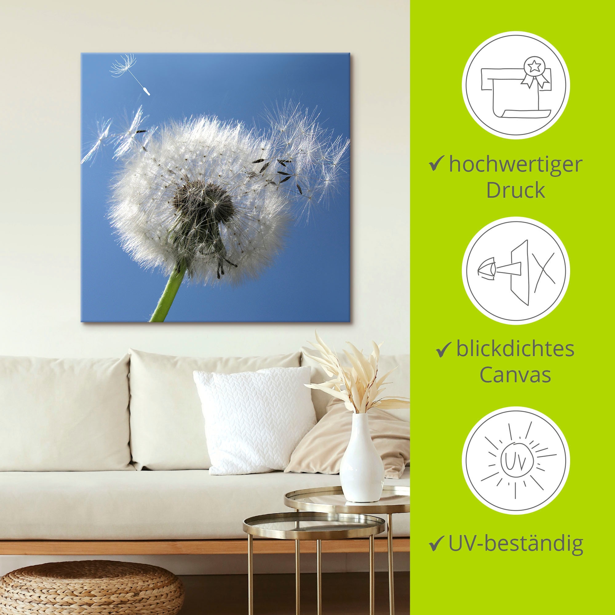 Artland Wandbild »Pusteblume«, Blumen, (1 St.), als Alubild, Outdoorbild, Leinwandbild, Poster in verschied. Größen