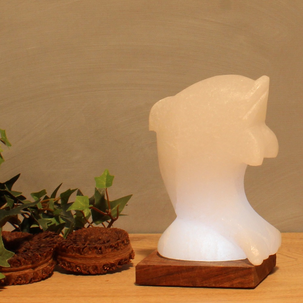 HIMALAYA SALT DREAMS Salzkristall-Tischlampe »Delfin«, Leuchtmittel LED-Mod günstig online kaufen