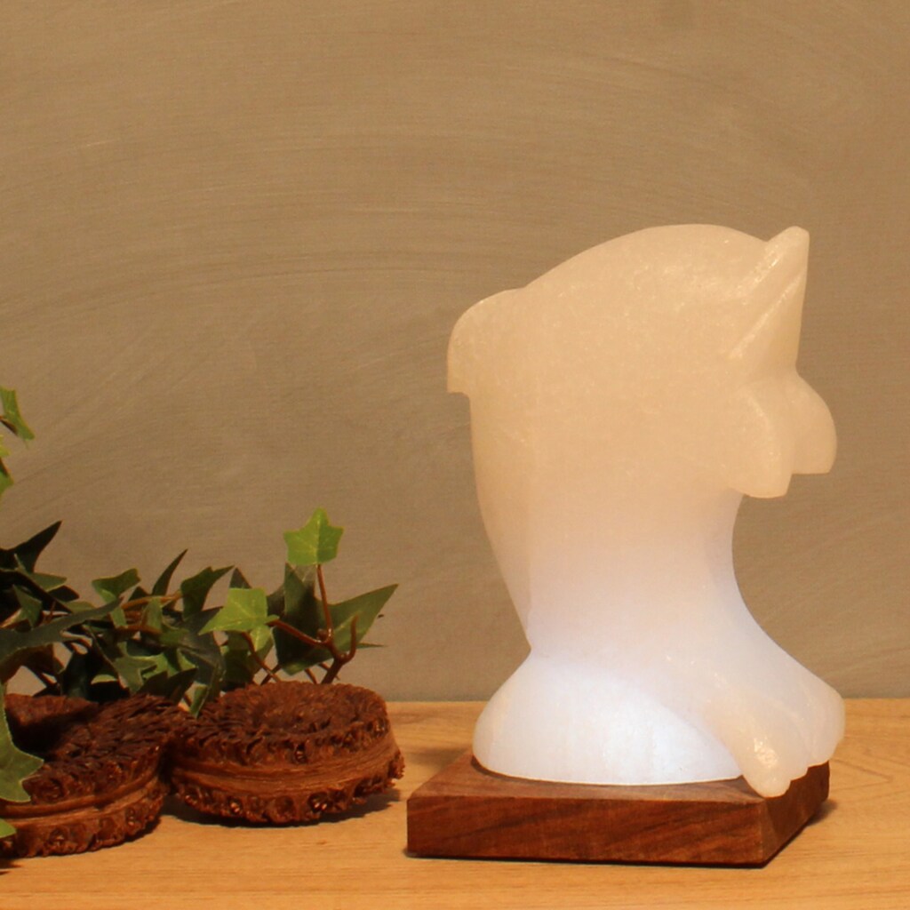 HIMALAYA SALT DREAMS Salzkristall-Tischlampe »Delfin«