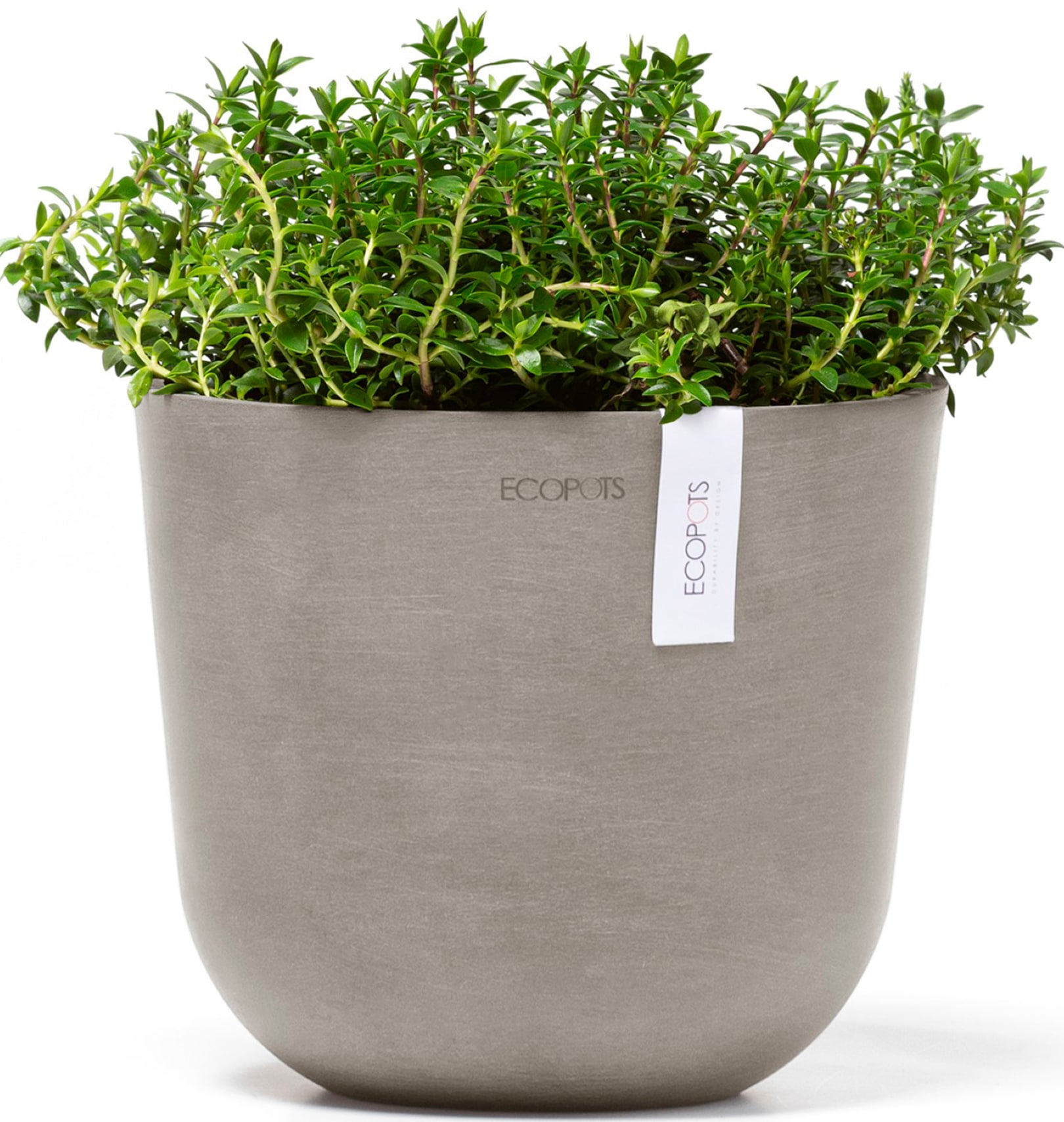 ECOPOTS Blumentopf »Oslo 19 Taupe«, für den Innenbereich