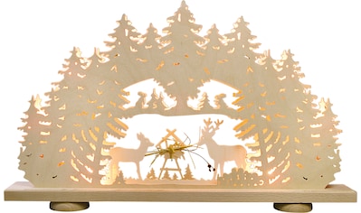 Weigla Dekolicht »Tannenbaum - Winterspaß, Weihnachtsdeko«, 1  flammig-flammig, beleuchtetes Fensterbild online bestellen