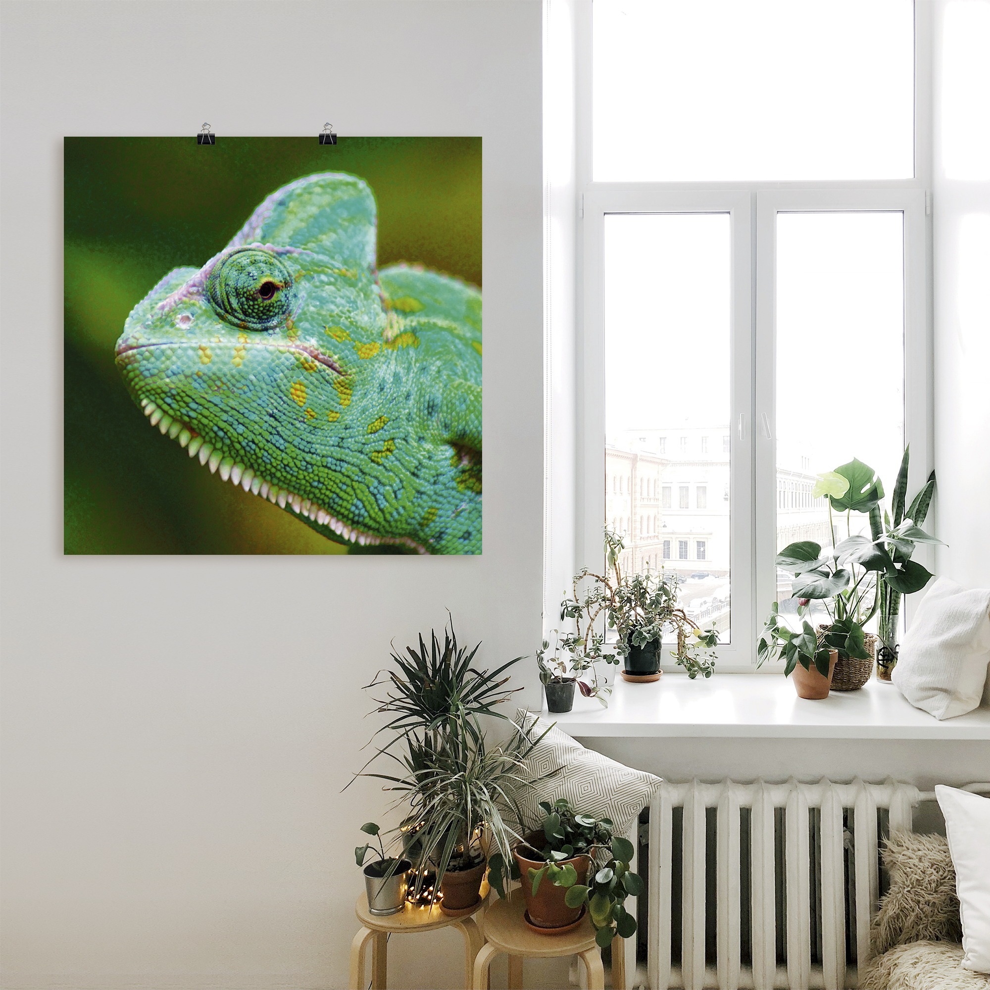 Artland Wandbild »Jemenchamäleon Portrait«, Reptilien, (1 St.), als Alubild, Leinwandbild, Wandaufkleber oder Poster in versch. Größen
