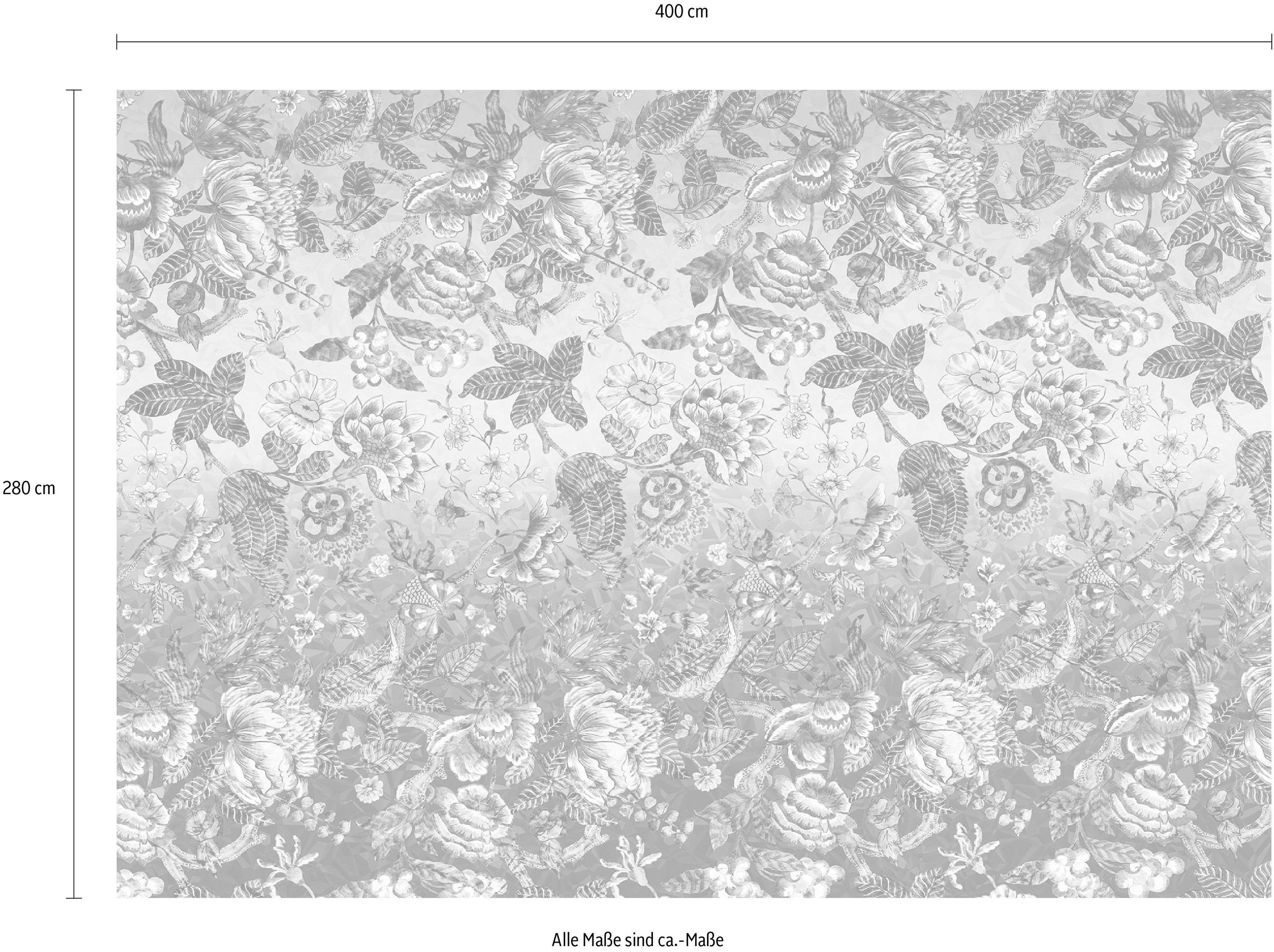 Komar Vliestapete »Digitaldruck Vlies - Secret - Größe 400 x 280 cm«, bedruckt, Wohnzimmer, Schlafzimmer