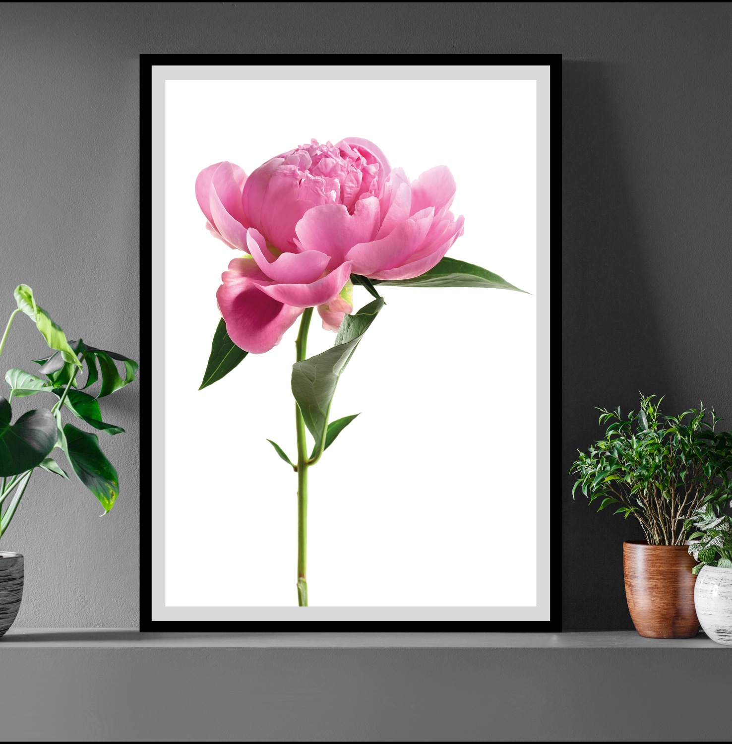 queence Bild »Gundula«, Blumen, gerahmt, Rosen günstig online kaufen