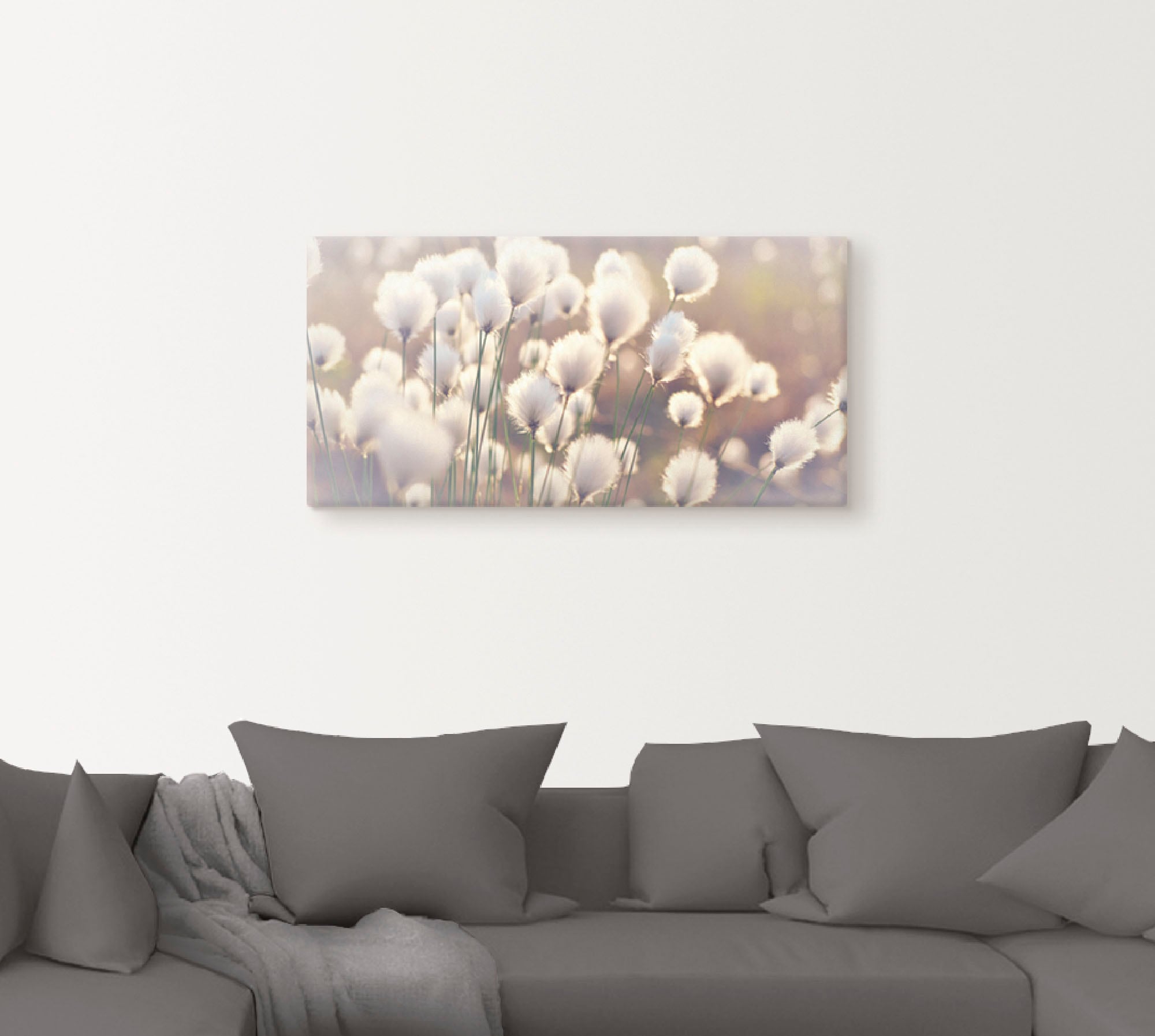 Artland Wandbild »Wollgraszauber im Moor«, Gräser, (1 St.), als Alubild, Outdoorbild, Leinwandbild, Poster, Wandaufkleber