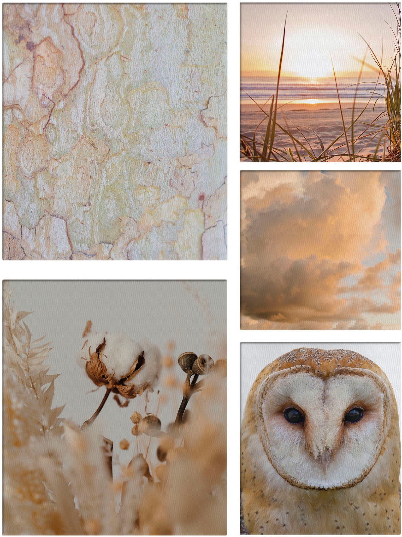 Art for the home Leinwandbild »Set Natur«, (Set, 5 St.) günstig online kaufen