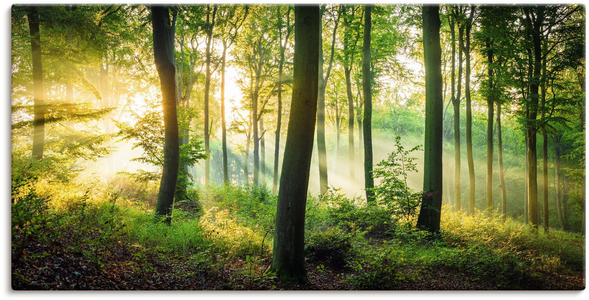 Artland Wandbild »Herbst im Wald II« Waldbilder 1 Stk. tlg. als Alubild, Ou günstig online kaufen