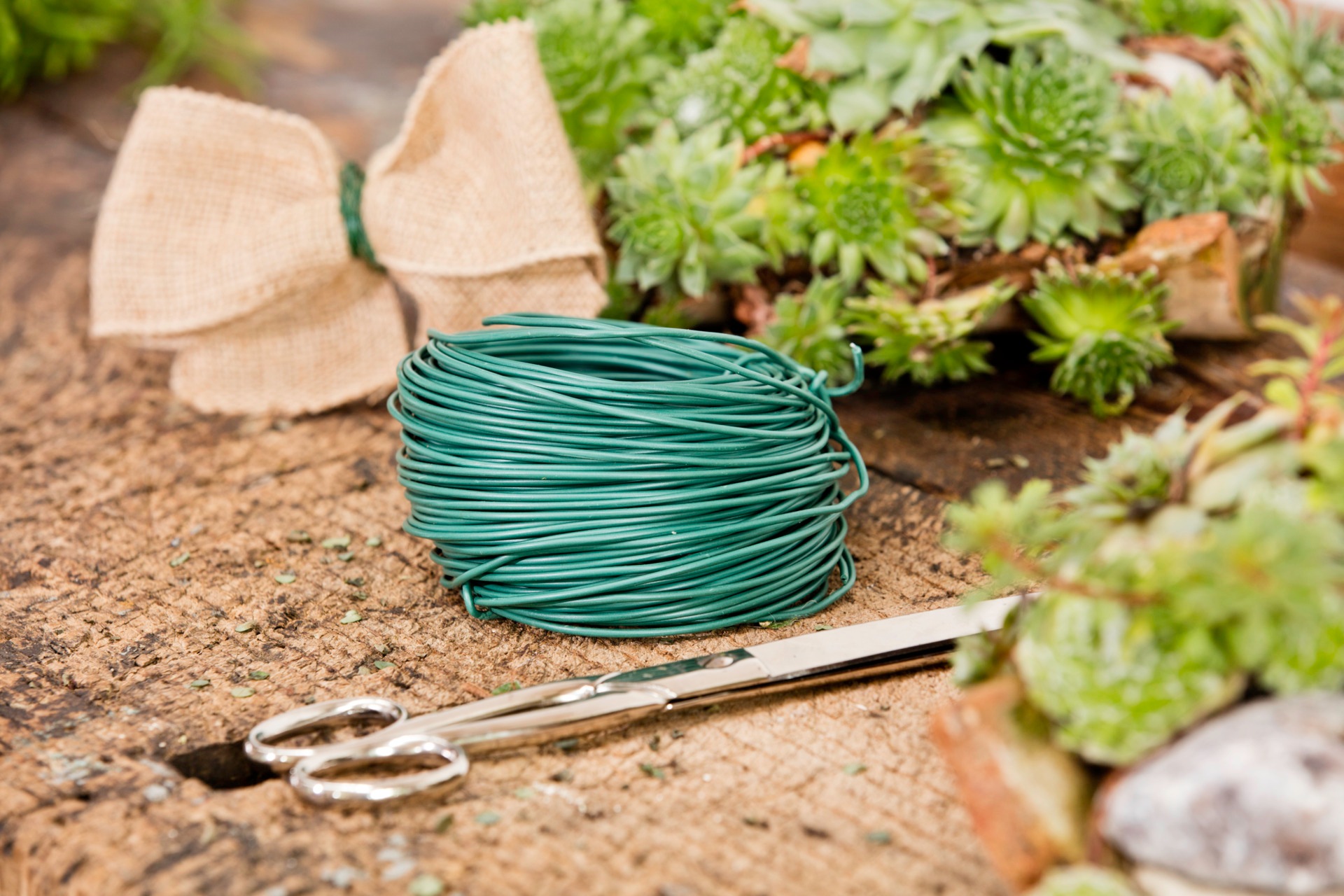 Windhager Pflanzschnur »für Garten-, Binde- und Bastelarbeiten, Gartendraht« 1 Stk. tlg. Blumendraht 40 m x 2 mm, Gummiert, grün