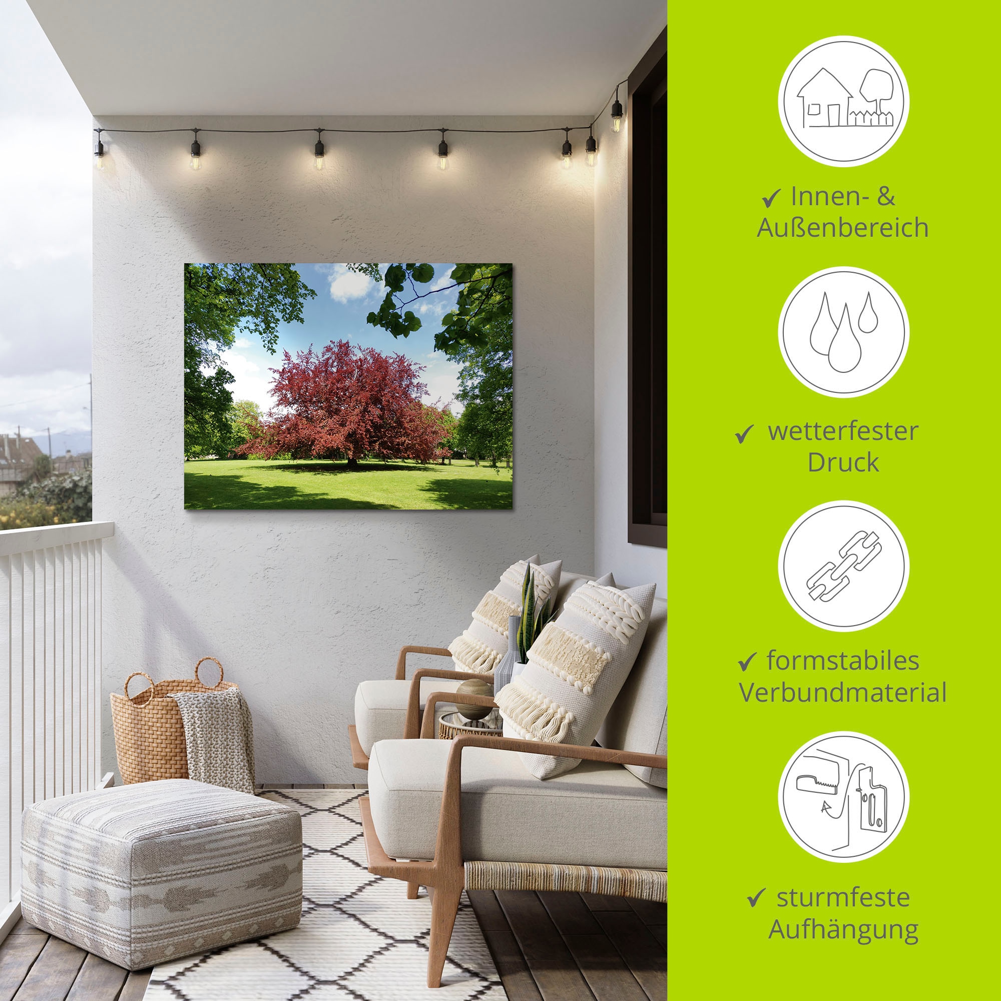 Artland Alu-Dibond-Druck »Blutbuche im Park«, Wiesen & Baumbilder, (1 St.), für Innen- und Außenbereich geeignet, Outdoorbild