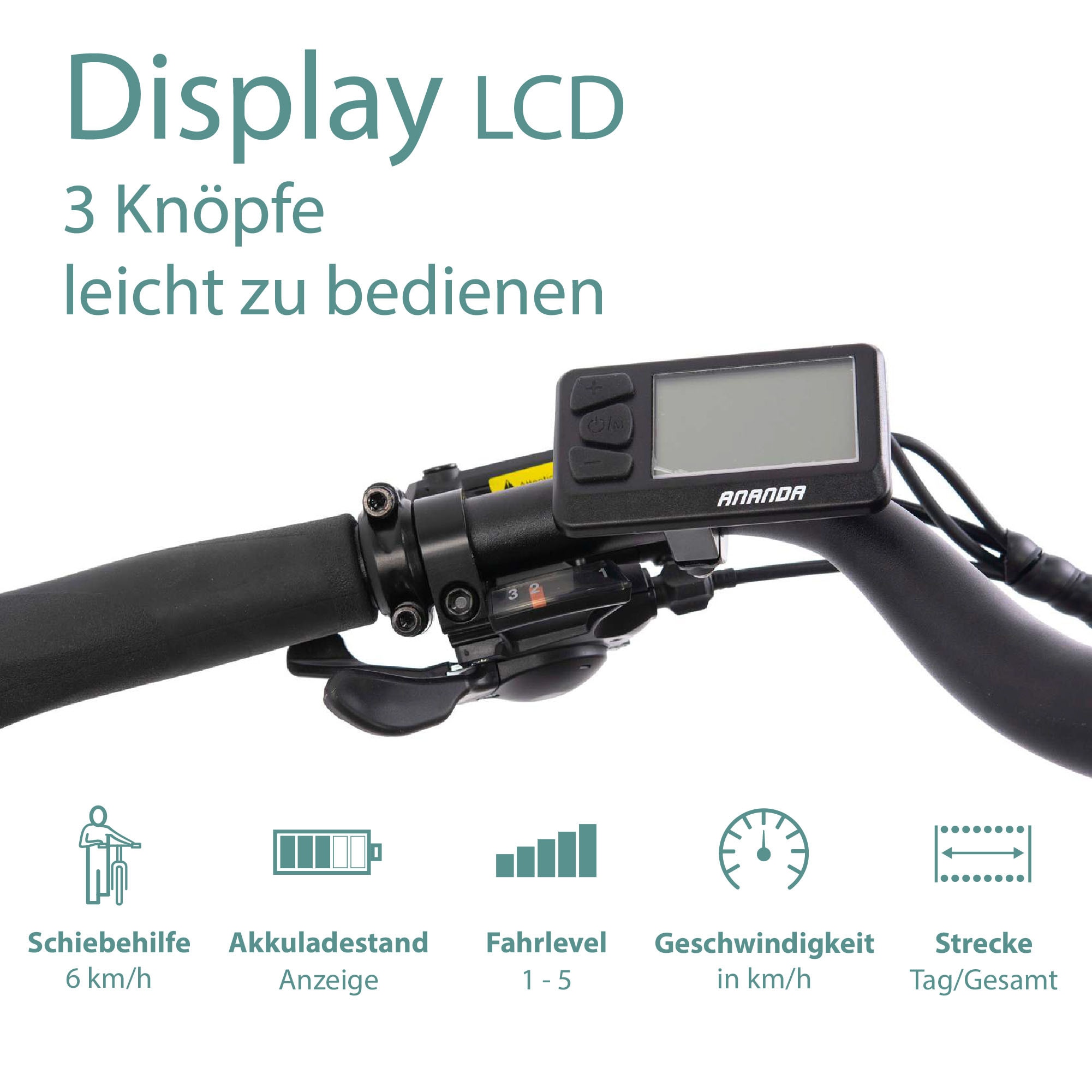 Tretwerk E-Bike »Bronx 5.0«, 24 Gang, Shimano, Altus M310, Heckmotor 250 W, Pedelec, Elektrofahrrad für Damen u. Herren