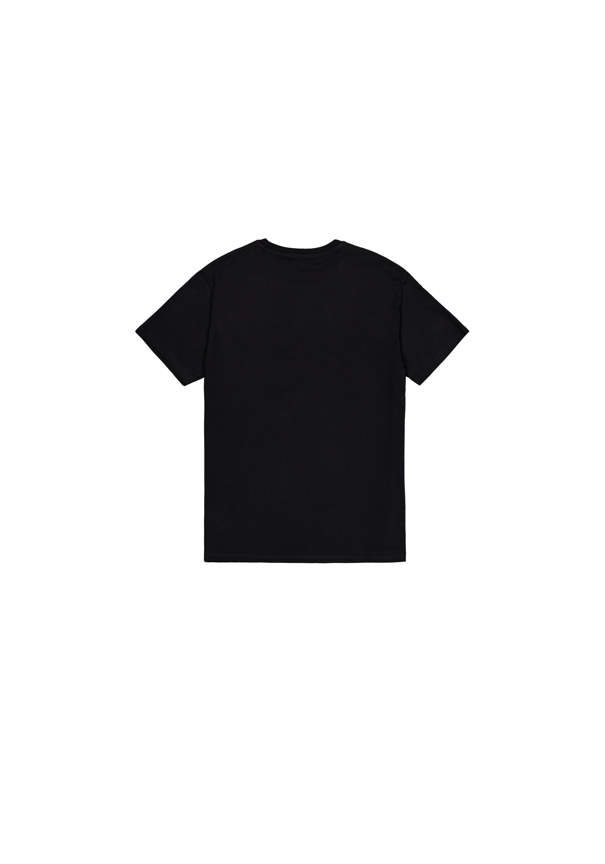 Alpha Industries T-Shirt »Basic T-Shirt SL«