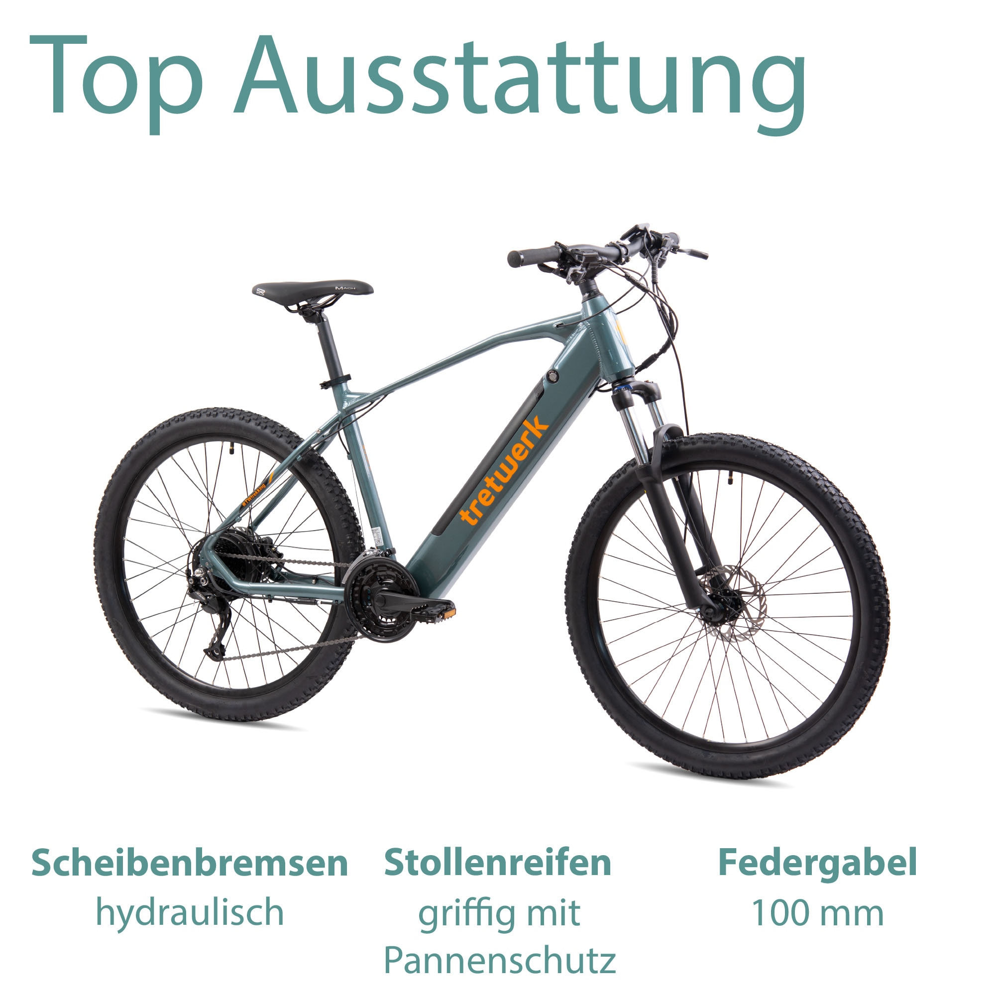Tretwerk E-Bike »Bolt«, Shimano, Heckmotor 250 W, Pedelec, Elektrofahrrad für Damen u. Herren, MTB