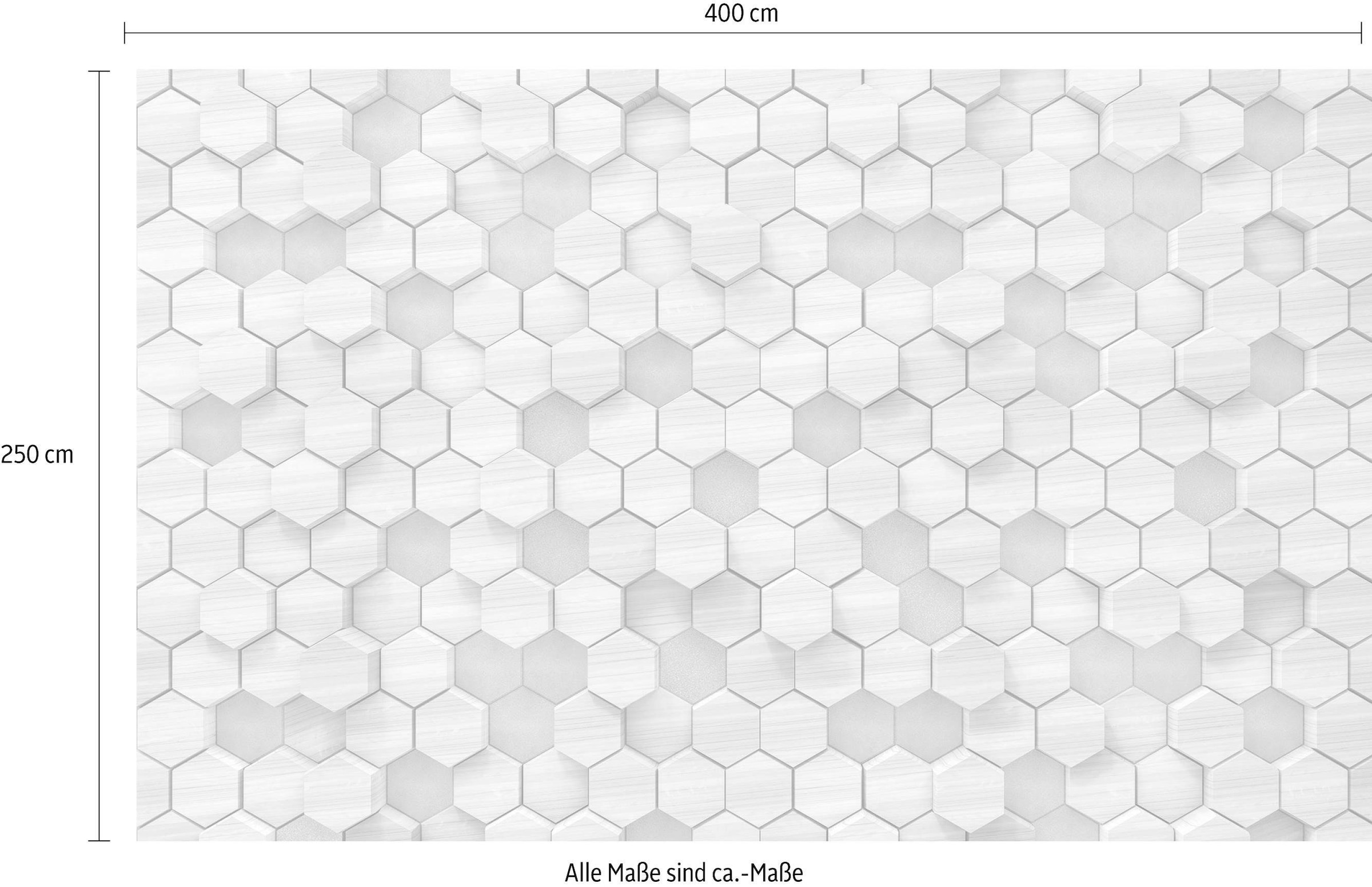 Komar Vliestapete »Digitaldruck Vlies - Woodcomb Birch - Größe 400 x 250 cm«, bedruckt, Wohnzimmer, Schlafzimmer