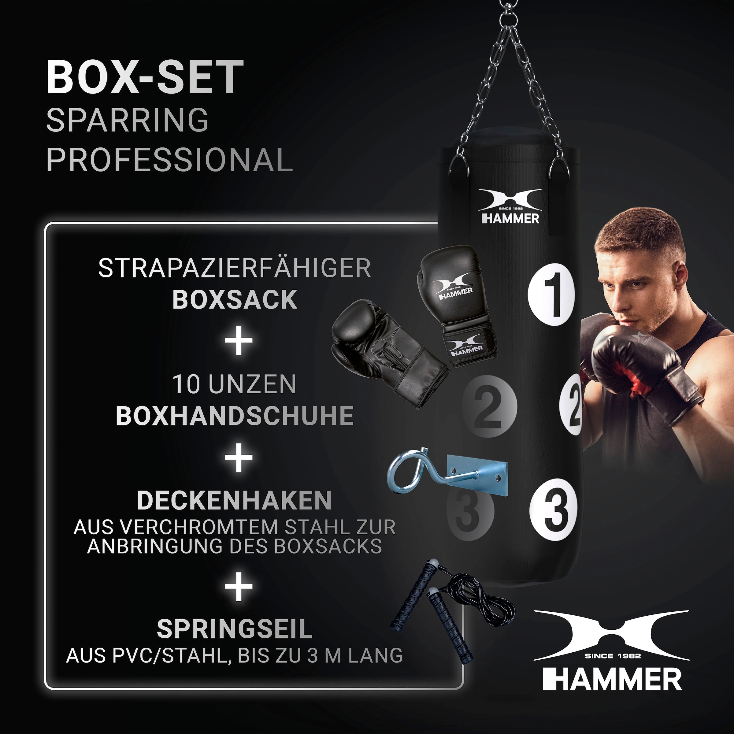 Hammer Boxsack »Sparring Professional«, (Set, mit Trainings-DVD-mit  Boxhandschuhen-mit Sprungseil-mit Haken) online kaufen