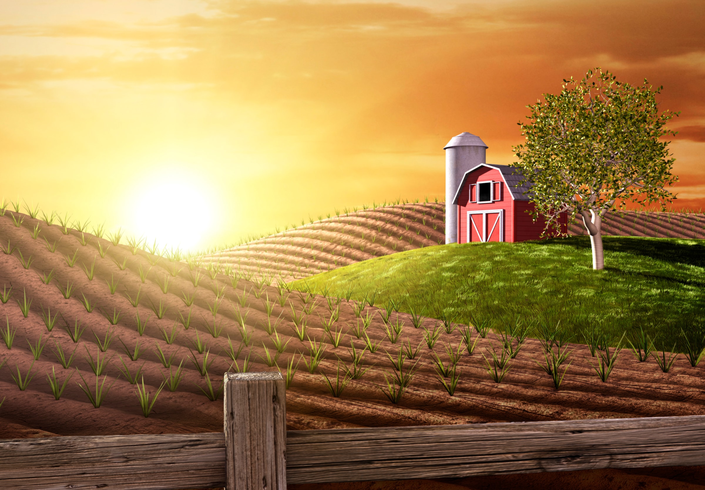 Papermoon Fototapete »Morning on the Farm« glatt günstig online kaufen