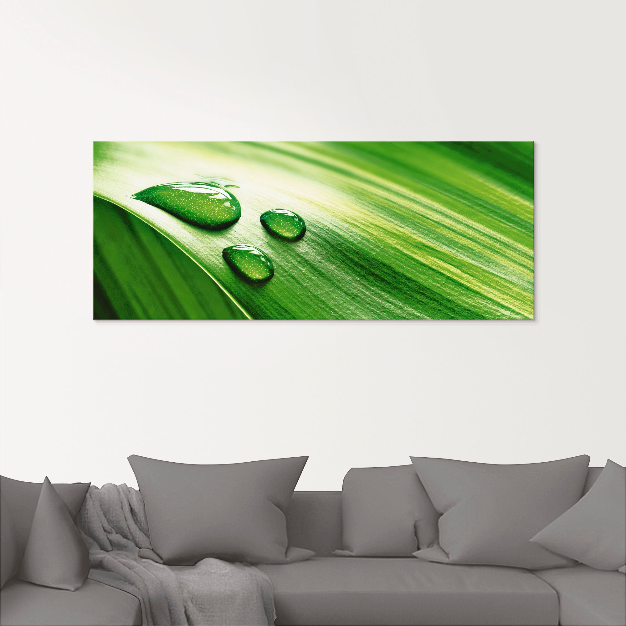 Artland Glasbild »Nahaufnahme eines grünen Pflanzenblattes« Blätter 1 Stk. günstig online kaufen