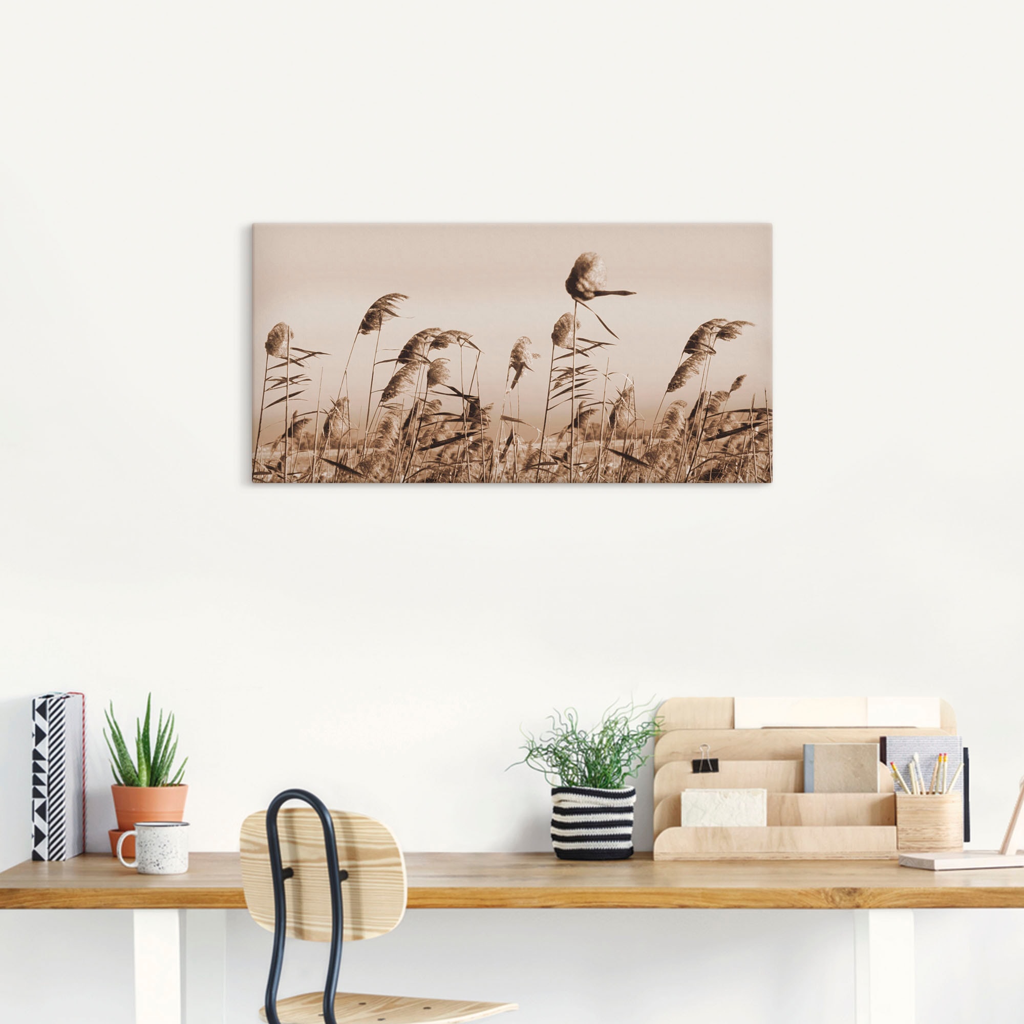 Artland Wandbild »Gräser«, Gräser, (1 St.), als Alubild, Outdoorbild, Leinwandbild, Poster, Wandaufkleber
