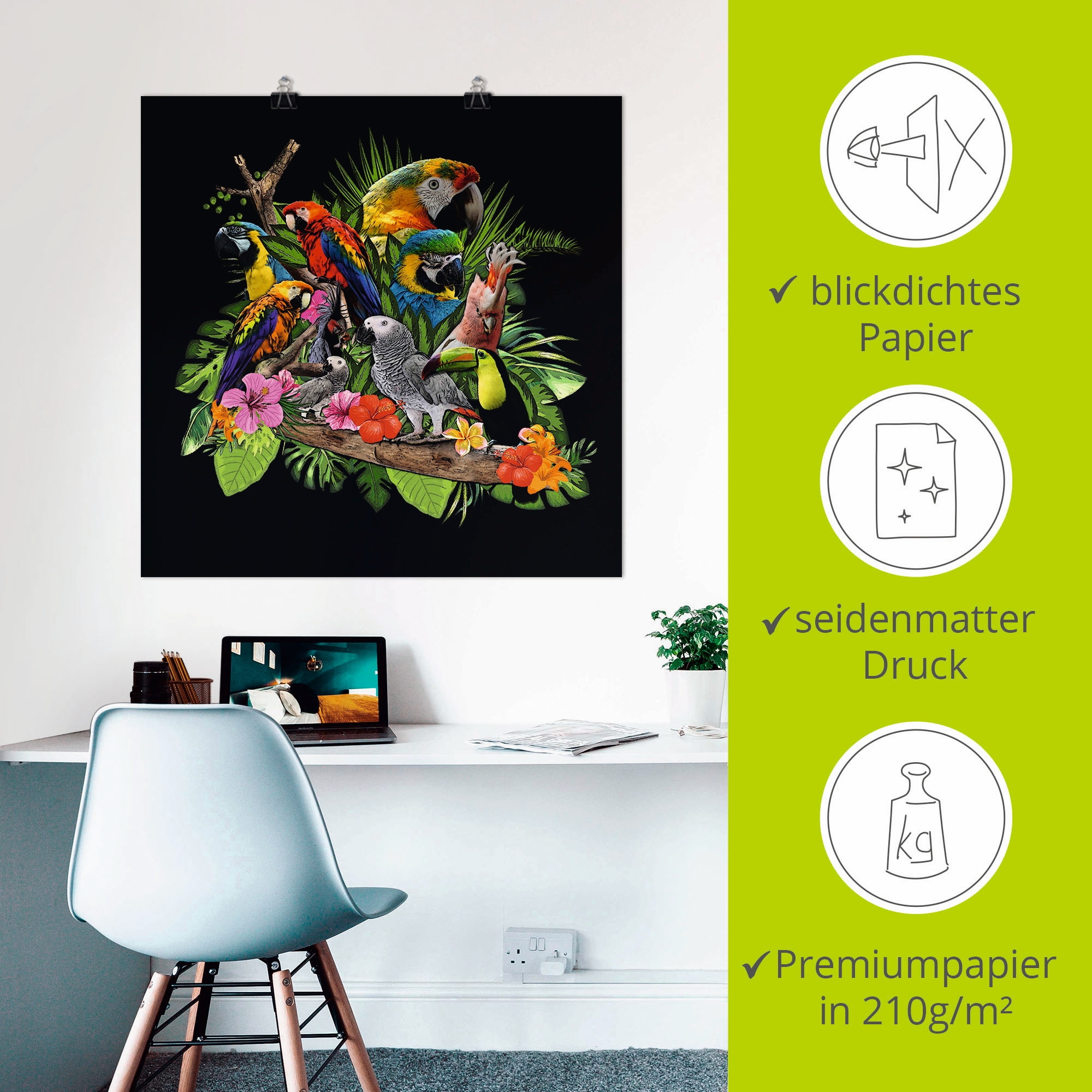Artland Wandbild »Papageien Graupapagei Kakadu Dschungel«, Vögel, (1 St.), als Alubild, Outdoorbild, Leinwandbild, Poster, Wandaufkleber