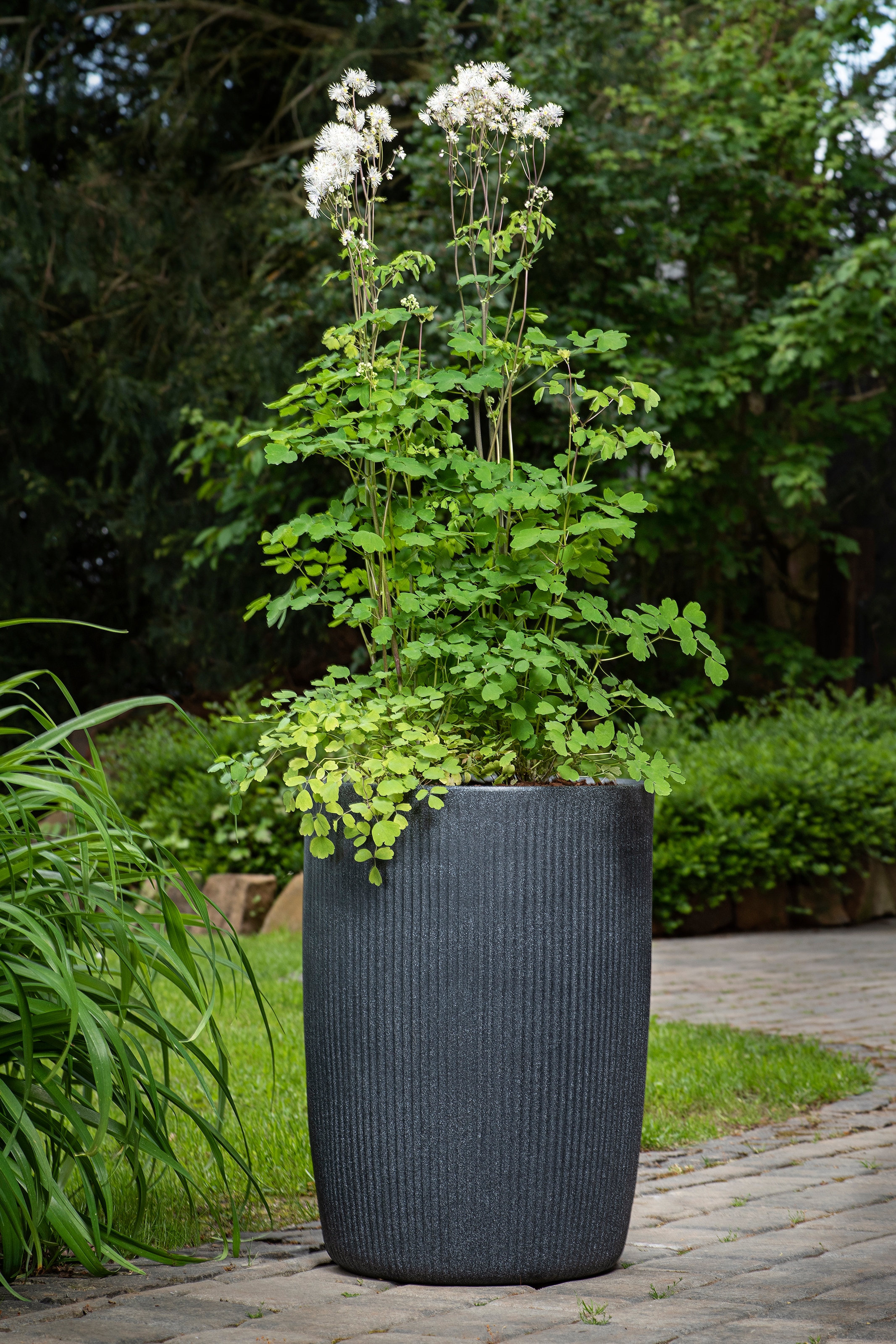 Scheurich Übertopf »40/260 LINETTO HIGH« Hochgefäß/Pflanzgefäß aus Kunststoff, ØxH: 28,5x39,9 cm