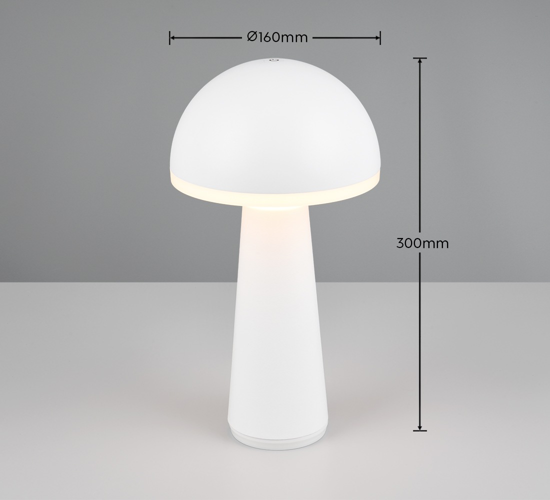 REALITY Leuchten LED Außen-Tischleuchte »FUNGO«, 1 flammig, Leuchtmittel LED-Board | LED fest integriert, Outdoor Akku Tischlampe inkl Ladestation USB-C, Lichtfarbe einstellbar