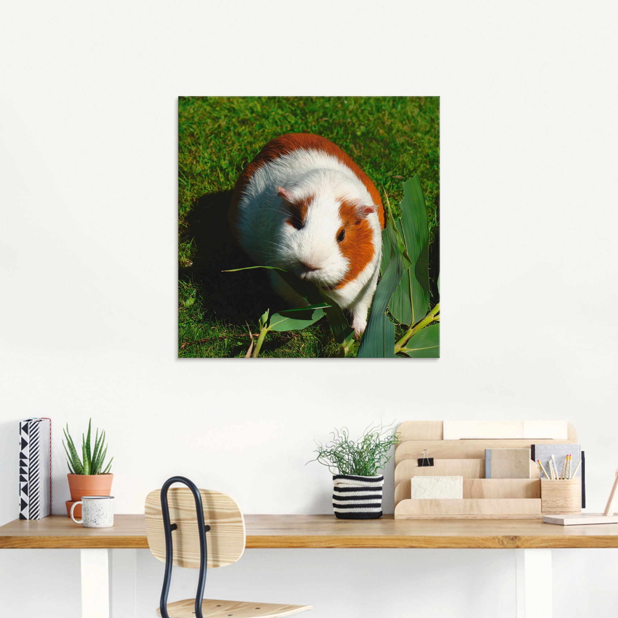 Artland Glasbild »Orange weißes Meerschweinchen«, Haustiere, (1 St.), in verschiedenen Größen
