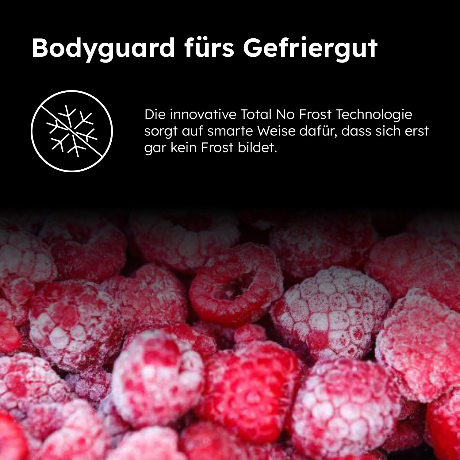 Haier Gefrierschrank »H4F226WDH1«, 153,5 cm hoch, 60 cm breit, 178 cm hoch, 60 cm breit, no Frost, Twist Ice Maker