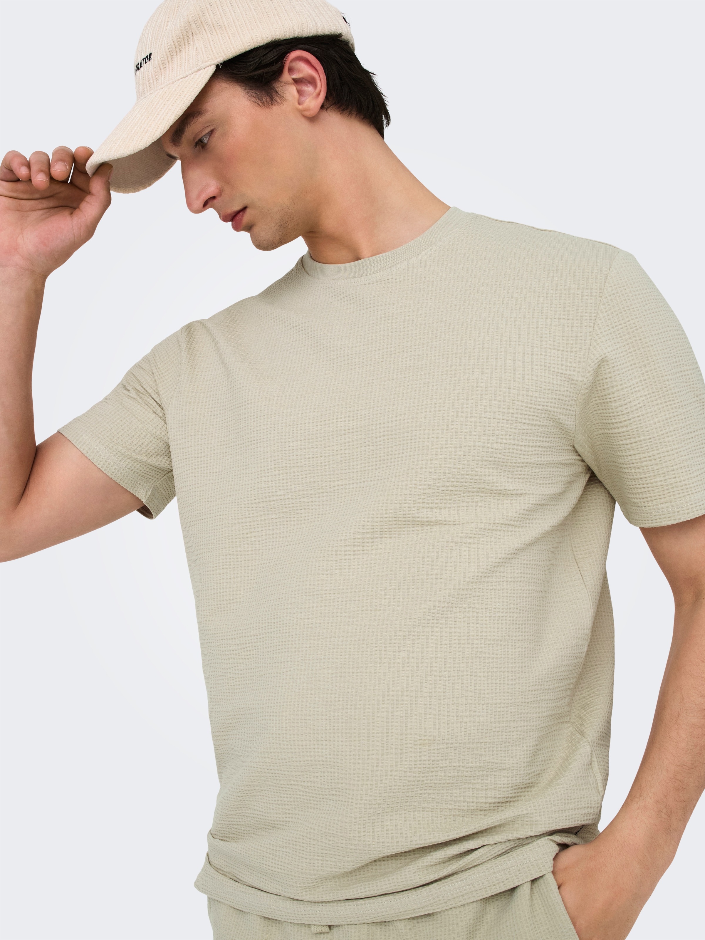 ONLY & SONS Rundhalsshirt »ONSKIAN LIFE REG SEERSUCKER SS TEE NOOS«