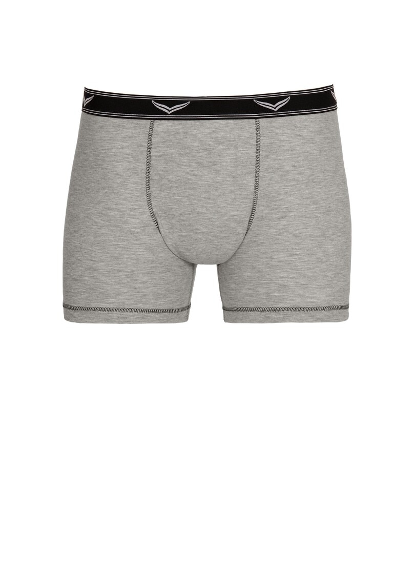 Trigema Boxer »TRIGEMA Bequeme Pants mit Webgummibund«, (1 St.)