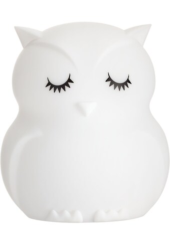 Pauleen LED Nachtlicht »Night Owl«, LED-Modul, Farbwechsler, 2,5W, USB, Weiß, 5V,... kaufen
