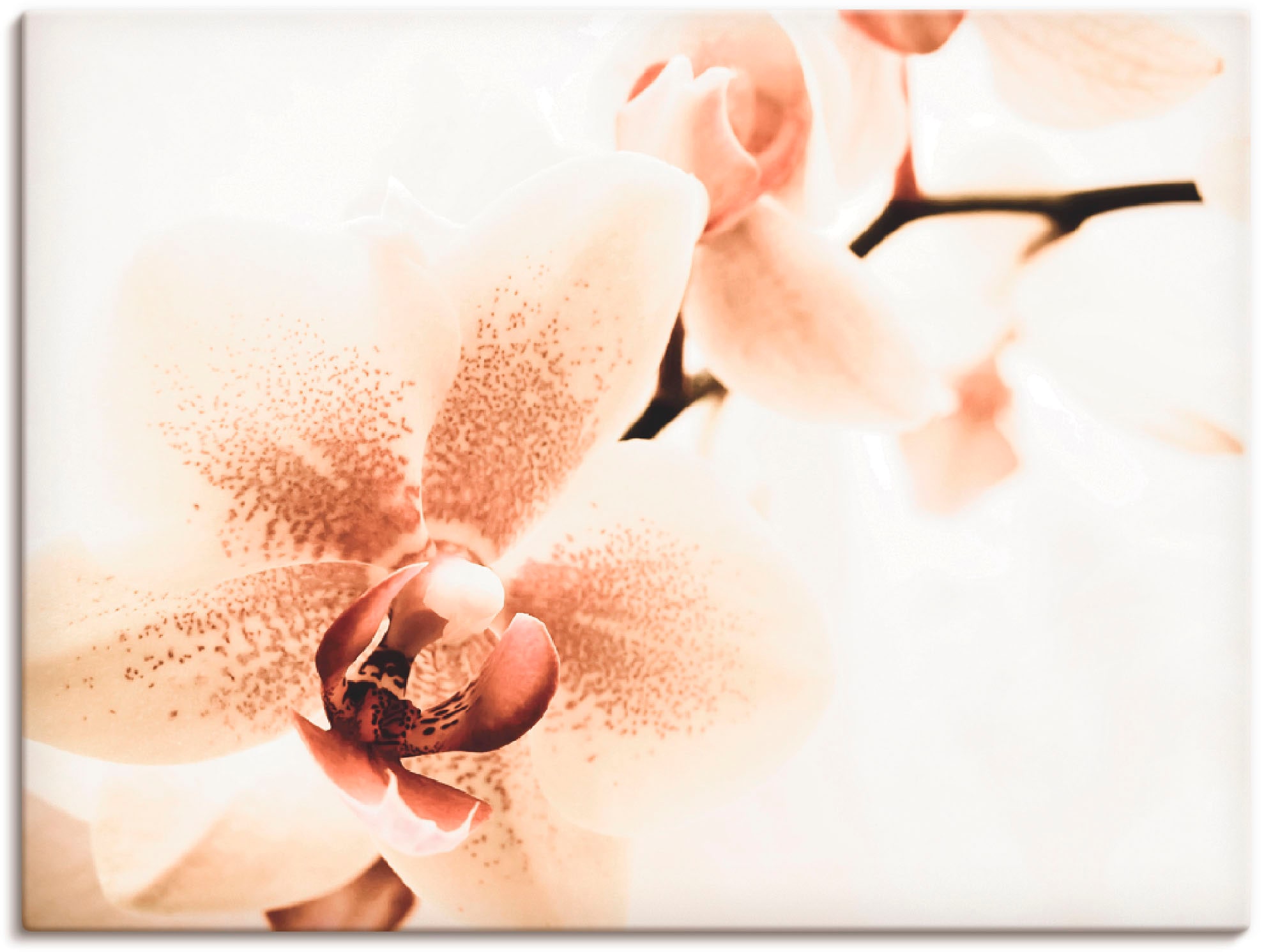 Artland Wandbild »Orchidee abstrakte Collage« 1 Stk. tlg. als Leinwandbild, günstig online kaufen