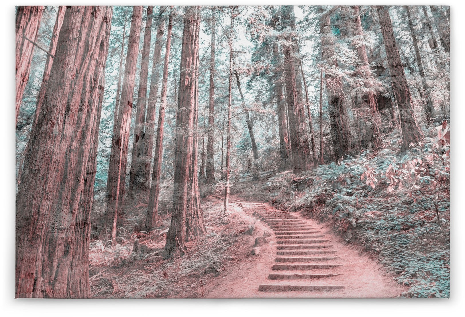 Bricoflor Zauberwald Leinwand Bild In Grün Und Braun Wald Bild Auf Leinwand günstig online kaufen