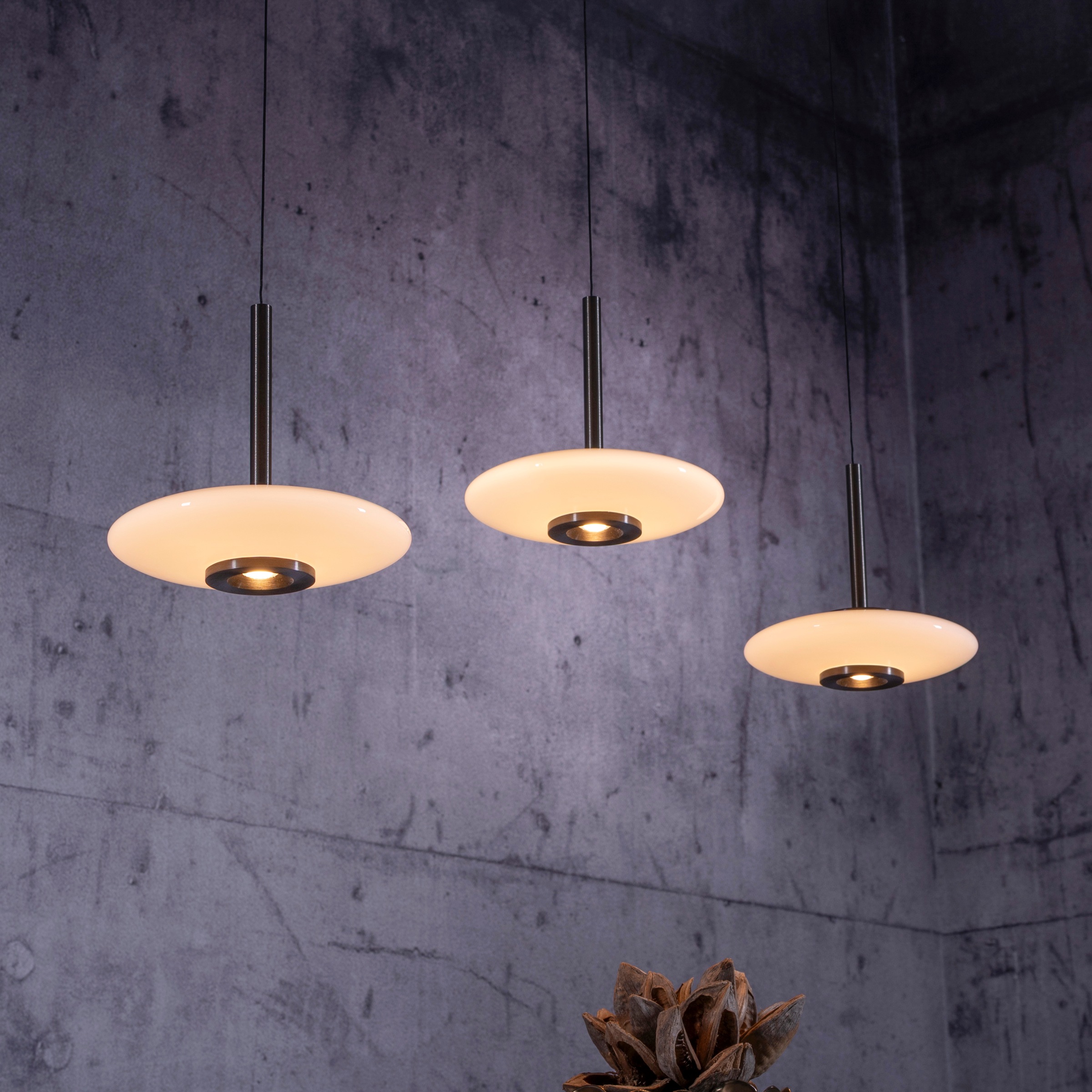 Neuhaus PURE LED Pendelleuchte »PURE Vitrum« LED-Board 1 Stk. Warmweiß Comfort Lift, dimmfähig über separaten Tronicdimmer