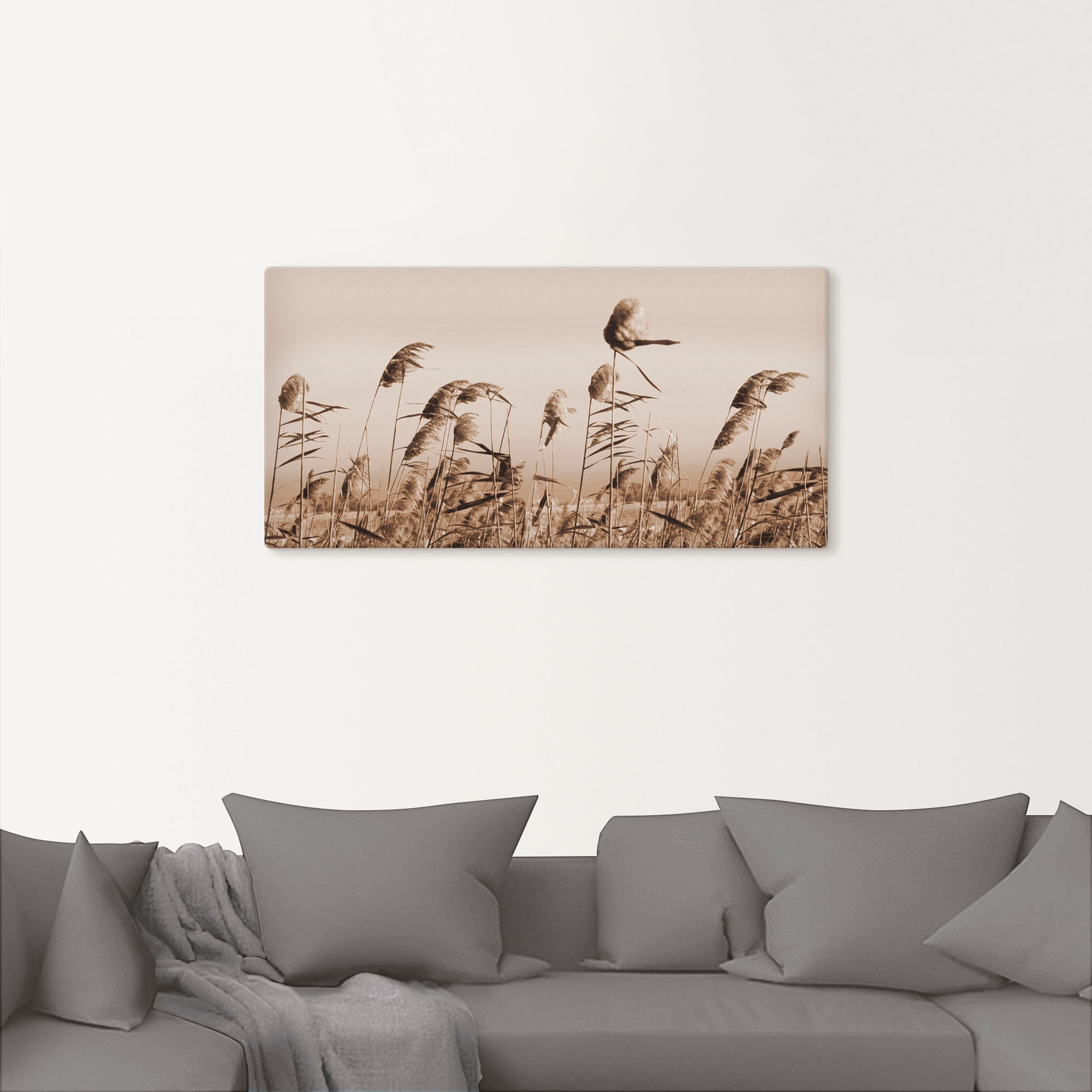 Artland Wandbild »Gräser«, Gräser, (1 St.), als Alubild, Outdoorbild, Leinwandbild, Poster, Wandaufkleber