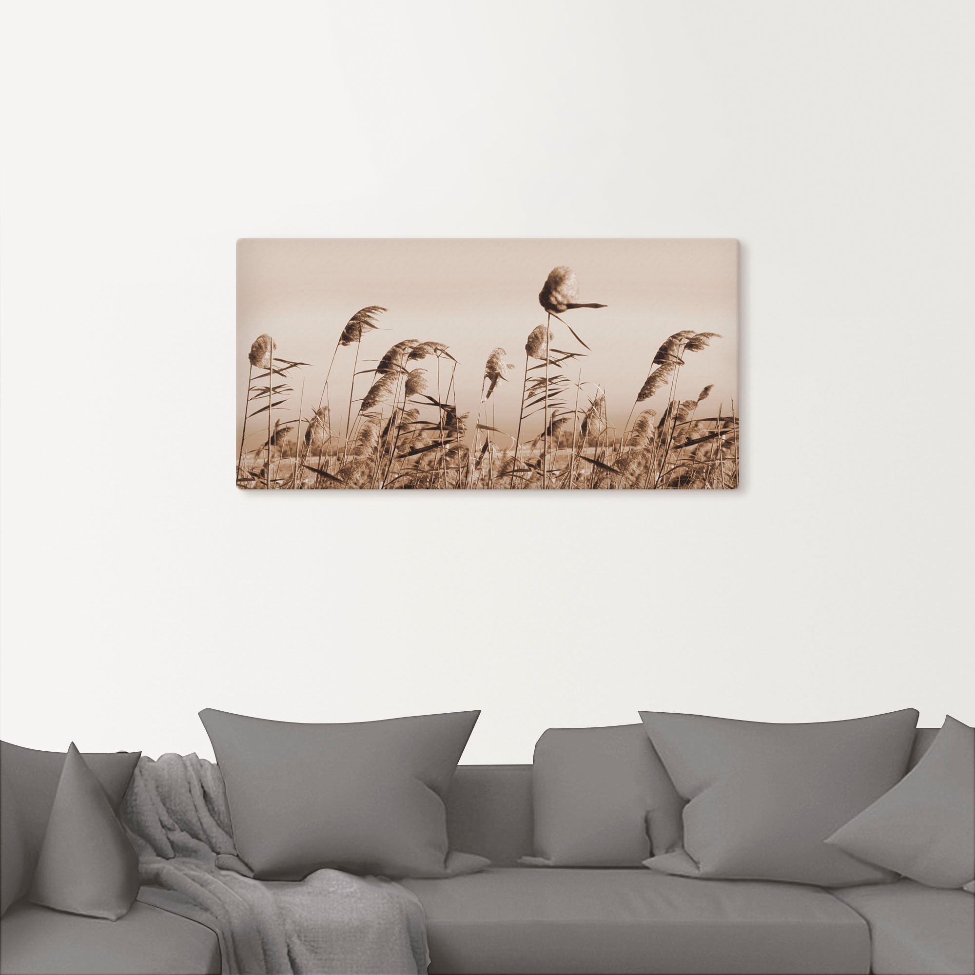 Artland Wandbild "Gräser", Gräser, (1 St.), als Alubild, Outdoorbild, Leinw günstig online kaufen